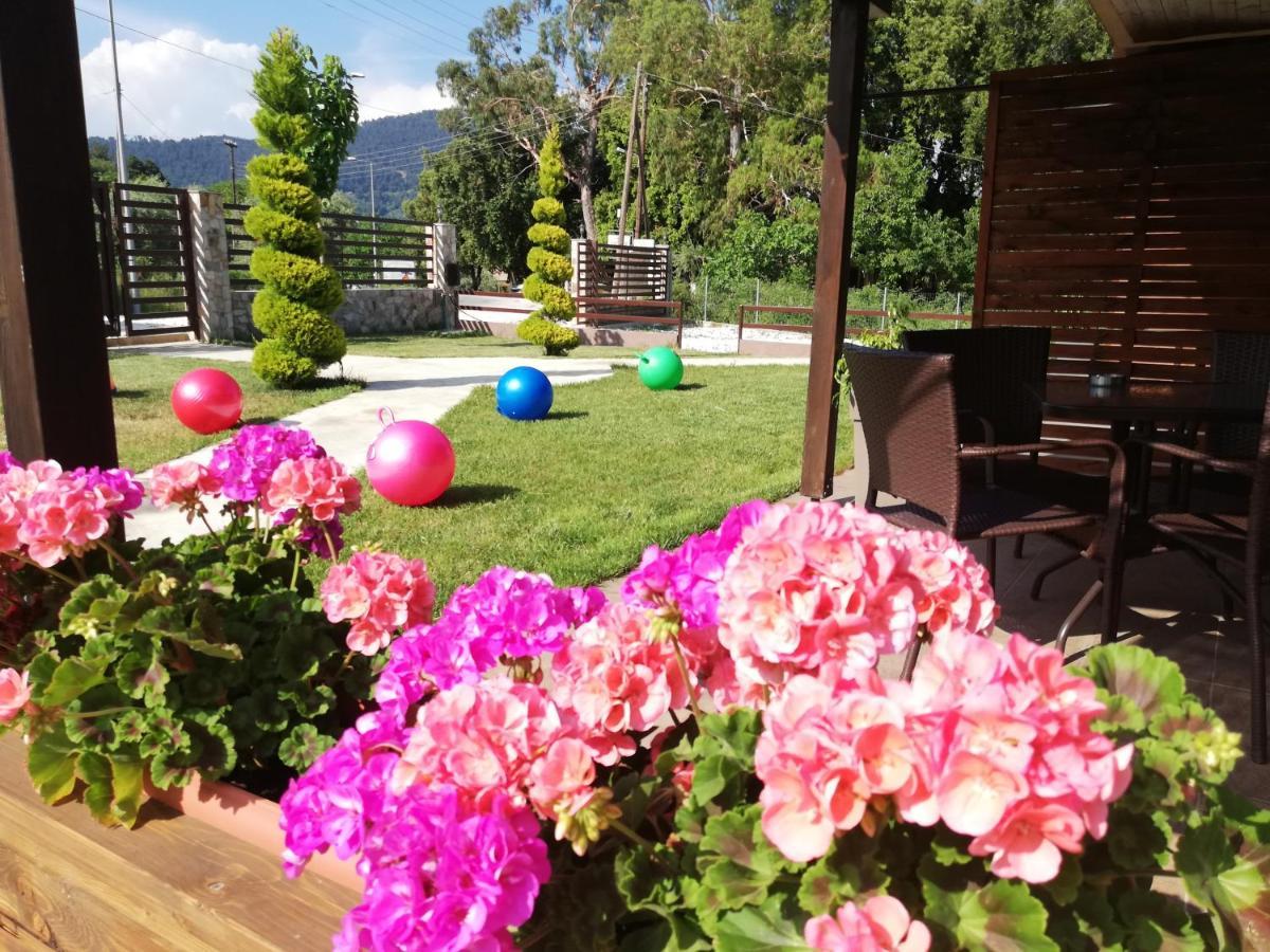 Aelia Studios Skala Potamia (Thasos) Exterior foto