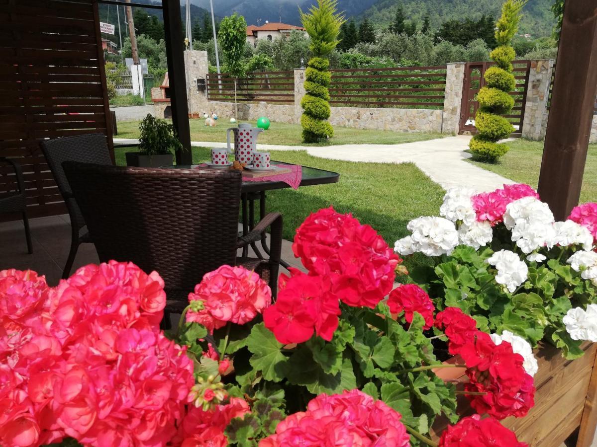 Aelia Studios Skala Potamia (Thasos) Exterior foto